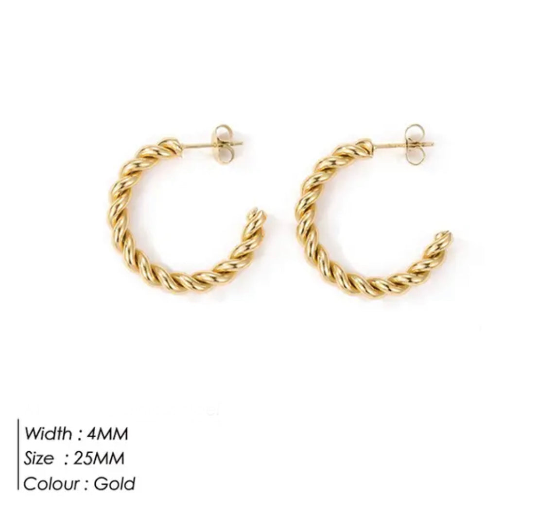 Ashlee hoops