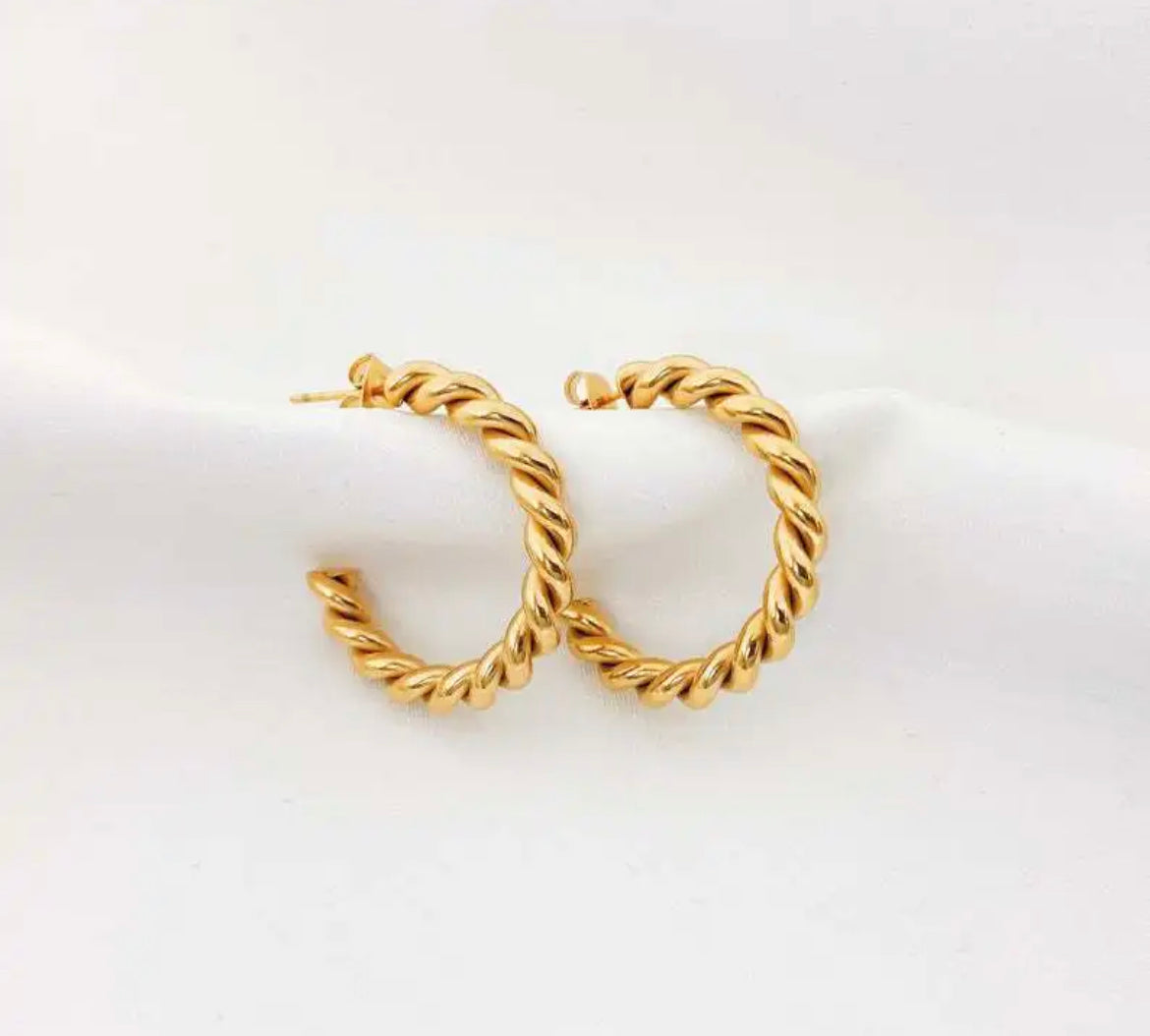 Ashlee hoops