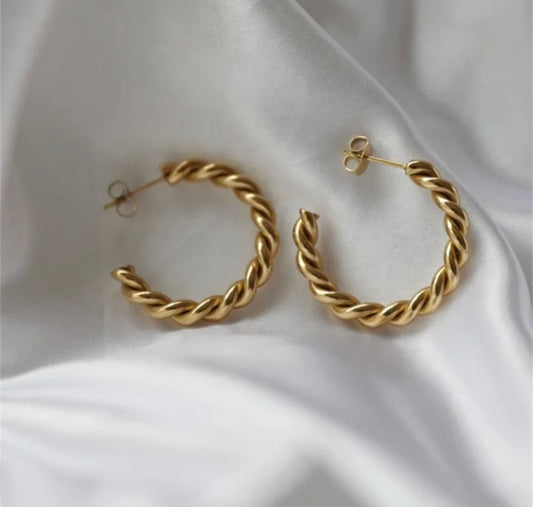 Ashlee hoops